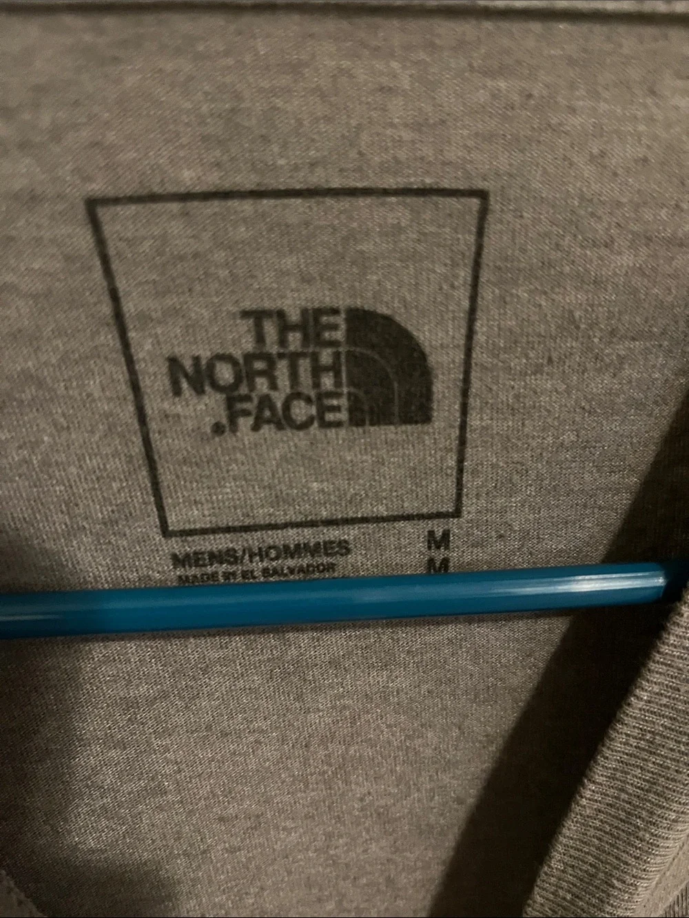 The North Face classic short
